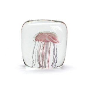 HERE ҥ / Jellyfish Twisted Leg "Square / Pink" ڡѡ