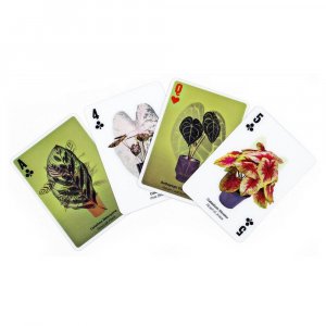 KIKKERLAND å / 3D Plant Cards 3Dȥ