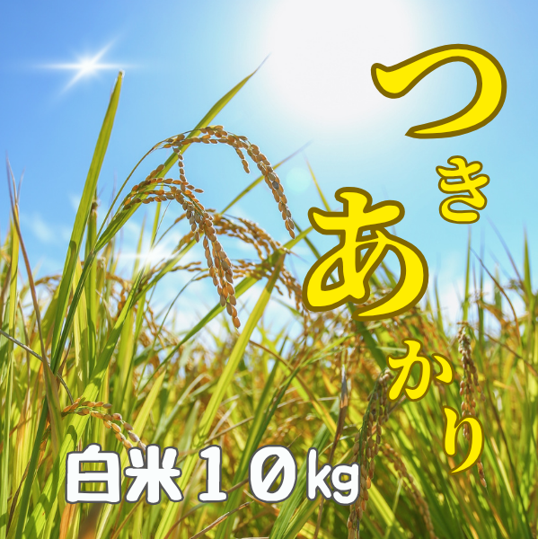 Ź 7ǯٻ ʡ縩ŻĤ  10kg ̵
