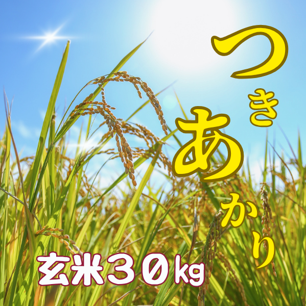 Ź 7ǯٻ ʡ縩ŻĤ  30kg ̵