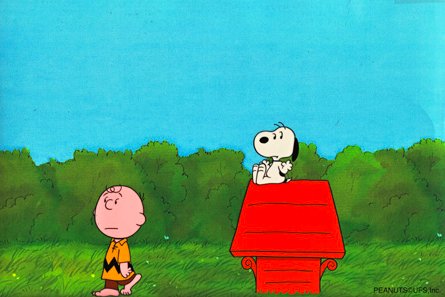 ピーナッツ オリジナル制作セル画 『Snoopy and Charlie Brown walk away』 本物証明書付属 スヌーピー Peanuts  Snoopy