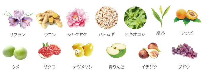 13種のフルーツ