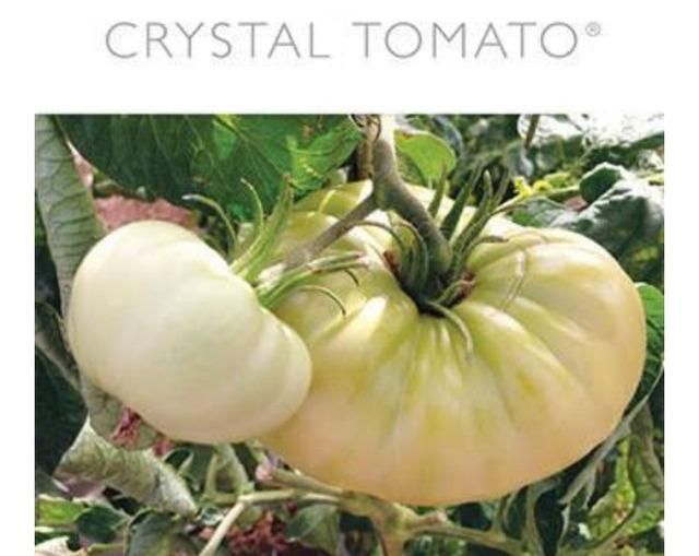 クリスタルトマト 飲む日焼け止め UV Crystal Tomato 未使用 - 健康用品