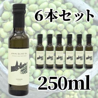 ˥ͭȥС󥪥꡼֥250ml 6