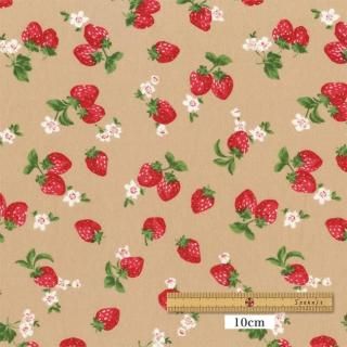 ץ<img class='new_mark_img2' src='https://img.shop-pro.jp/img/new/icons14.gif' style='border:none;display:inline;margin:0px;padding:0px;width:auto;' />