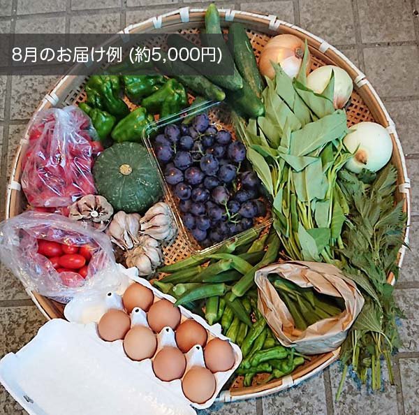 【ヤサイ定期便】 旬の野菜と平飼い卵のお試しセット