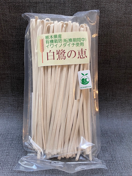 【白鷺の恵】太麺うどん　(イワイノダイチ使用）　　