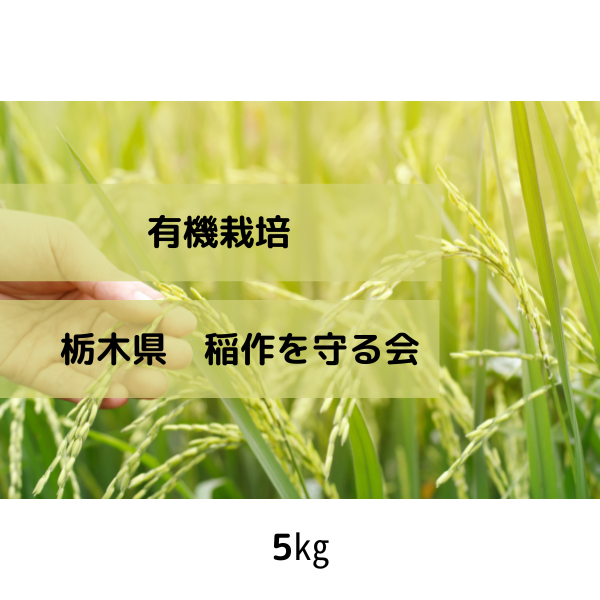 日本の稲作を守る会コシヒカリ（5�）