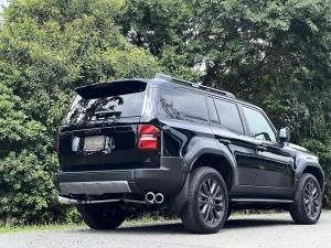 ڥ/2̾ͤΤߡGDJ250Wɥ롼250 ǥ ɥ100 4ܽФ ޥե顼