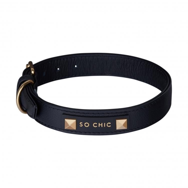 Chic on sale dog collars