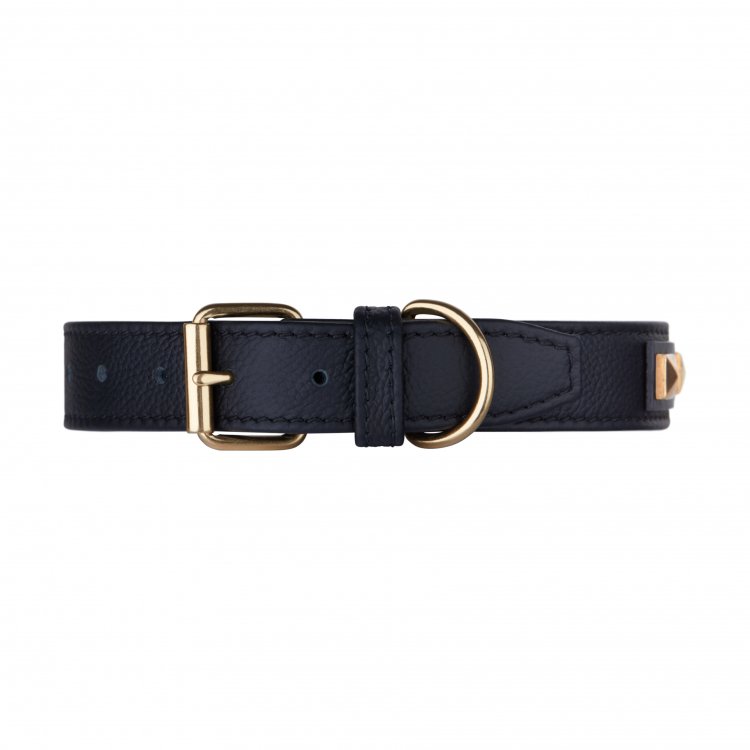 Chic 2025 dog collars