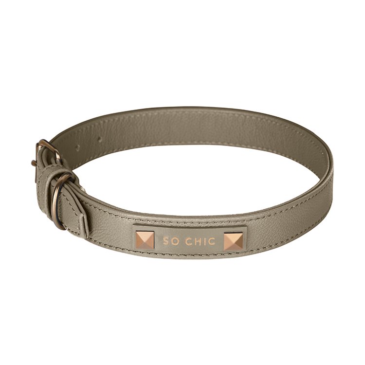 Classy 2024 dog collar