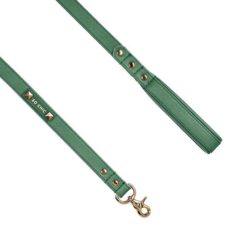 green dog leash