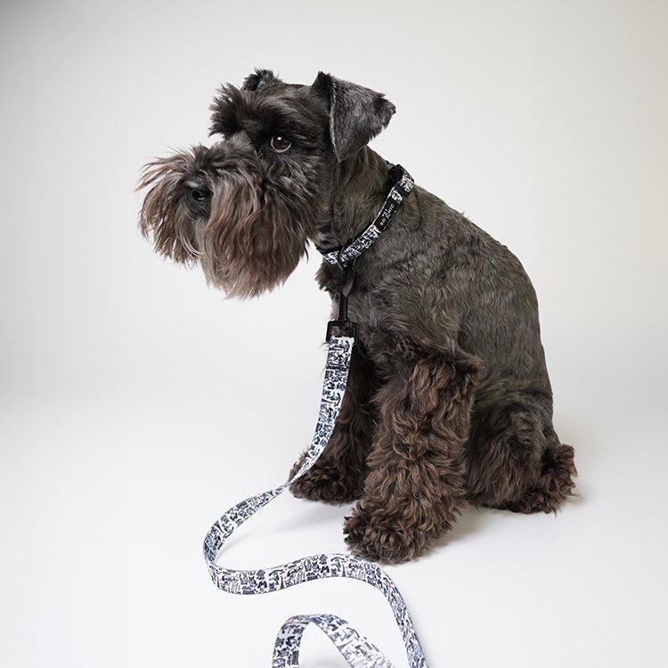 BALTAZAR×ヒステリックグラマー　ペット 用　リード BALTAZAR×ヒステリックグラマー ペット 用 リード （DOG LEASH