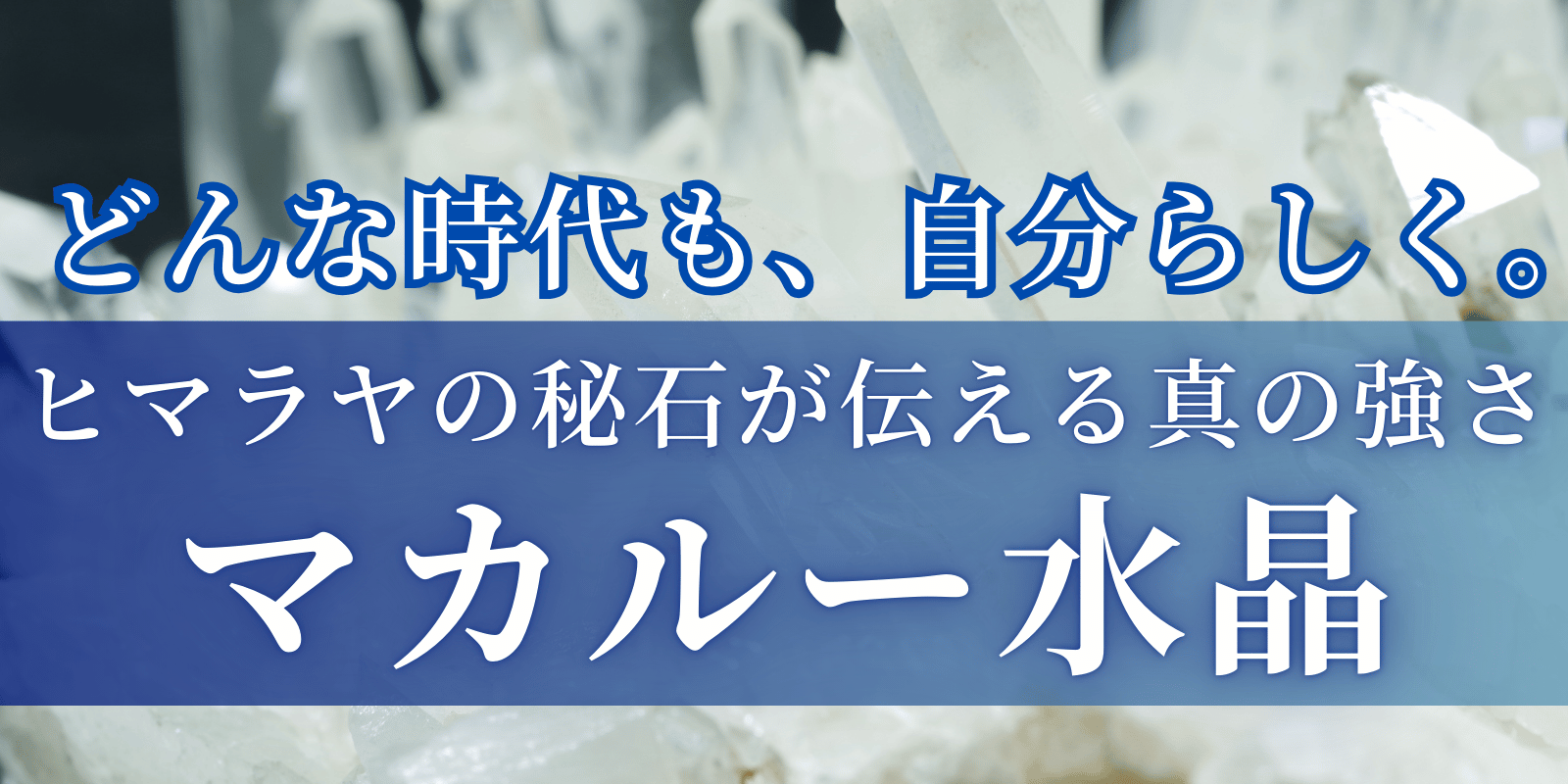 Ʃޥ롼徽θХå׼̿