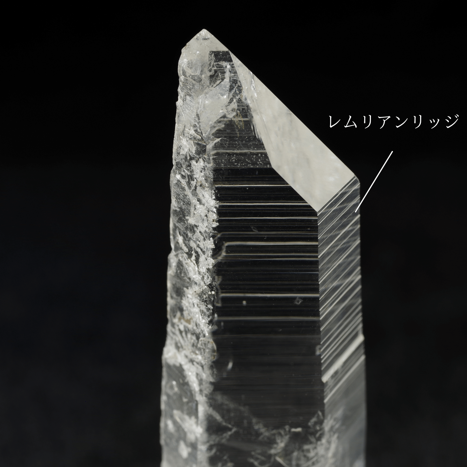 レムリアンシードの条線(レムリアンリッジ)