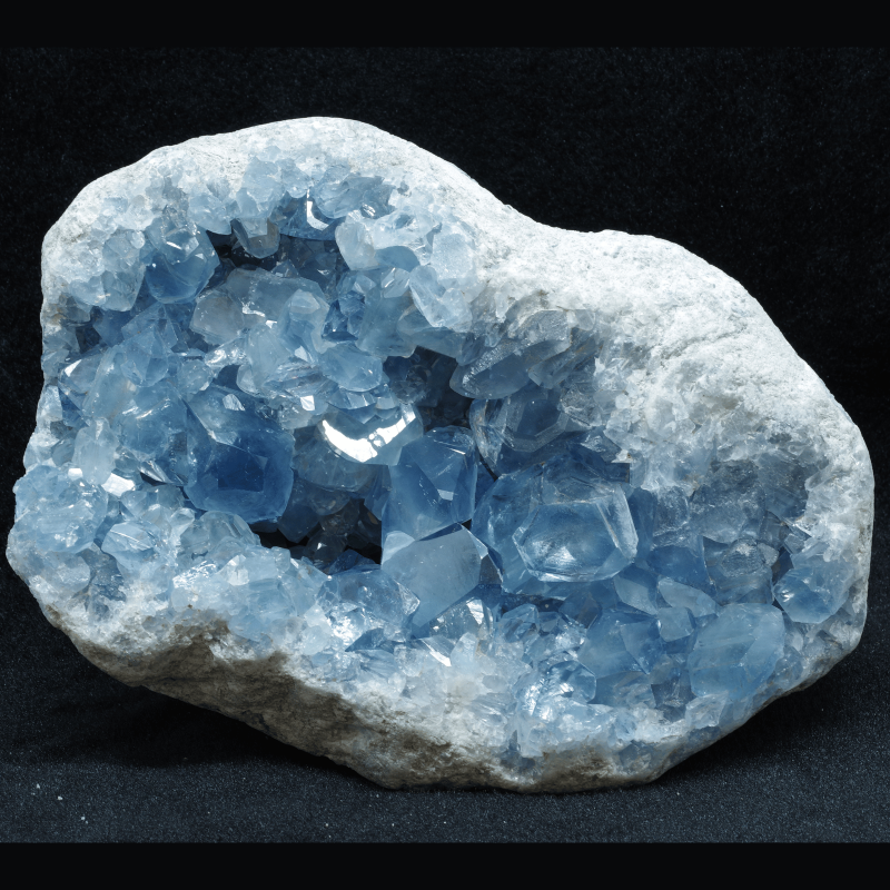 쥹<img class='new_mark_img2' src='https://img.shop-pro.jp/img/new/icons1.gif' style='border:none;display:inline;margin:0px;padding:0px;width:auto;' />