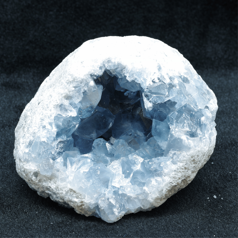 쥹<img class='new_mark_img2' src='https://img.shop-pro.jp/img/new/icons1.gif' style='border:none;display:inline;margin:0px;padding:0px;width:auto;' />