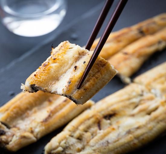 吉川水産】高知県産うなぎの白焼120～140g×10尾 蒲焼たれ付