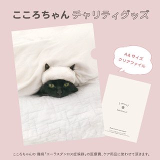 Hantaオリジナルグッズ かわいいナタリーレテ猫雑貨 人気の猫マグカップ猫アクセサリー通販 Hanta