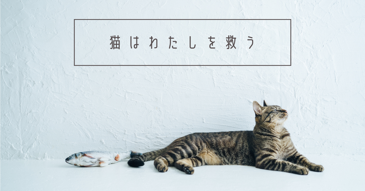 かわいいナタリーレテ猫雑貨 人気の猫マグカップ猫アクセサリー通販｜hanta