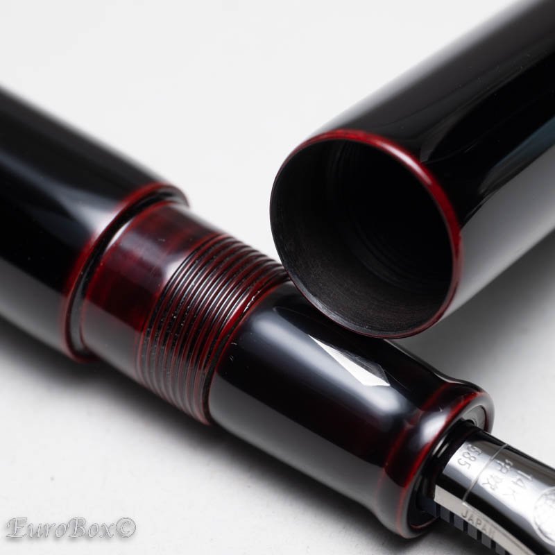 NAKAYA Neostandard Kuro-tamenuri 中屋万年筆 ネオスタンダード 黒溜