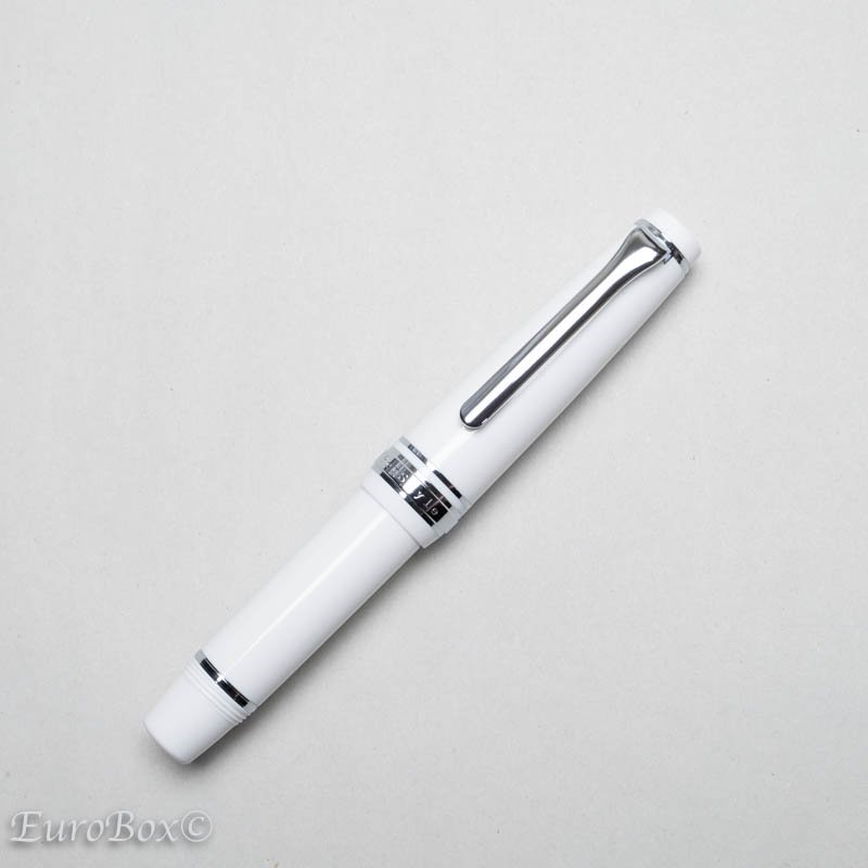 ナガサワオリジナル万年筆 Pen Style Memo ホワイト（そごサワ文具限定 ...