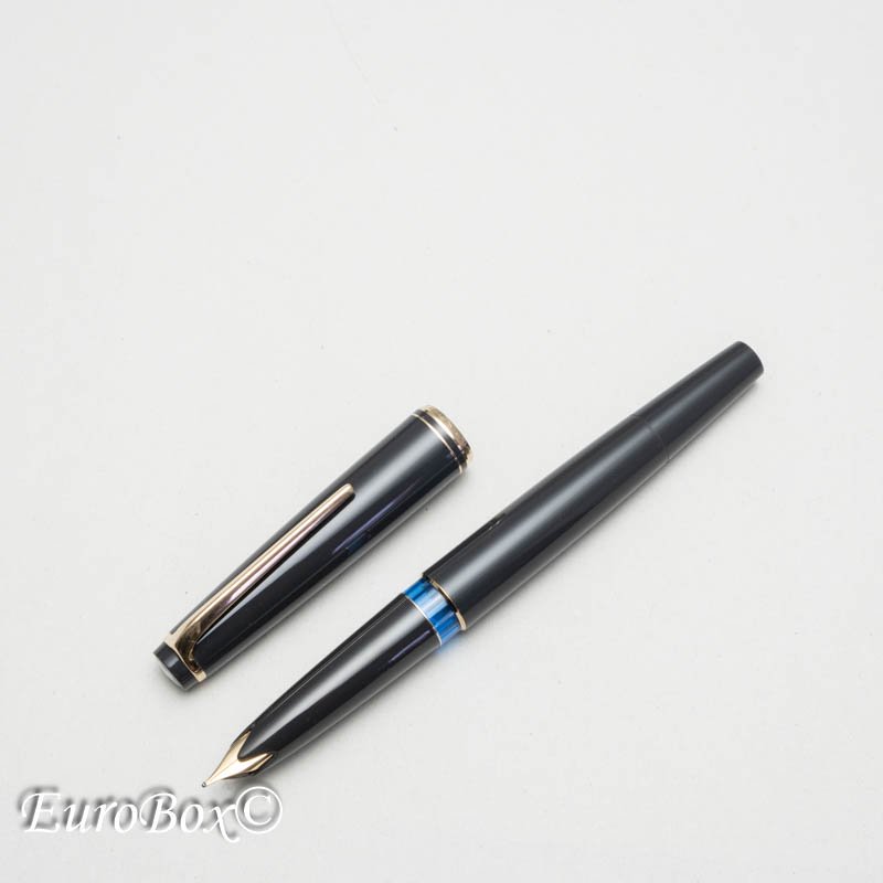 モンブラン 万年筆 No.22 グレー MONTBLANC No.22 Grey - Euro Box