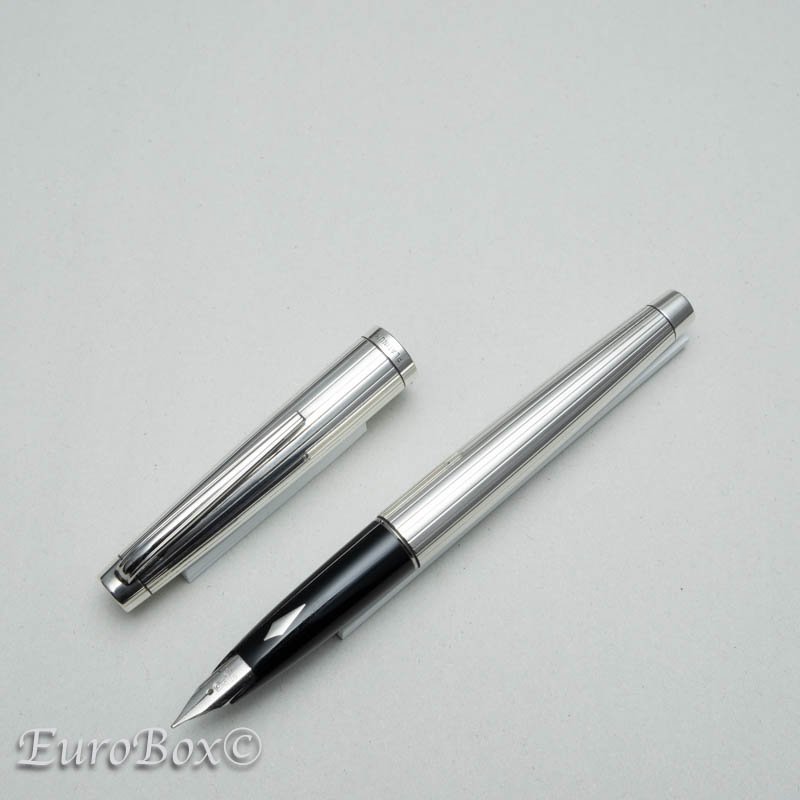 プラチナ 万年筆 シルバー PPSL-10000 プラチナペン先 PLATINUM Silver PPSL-10000 with Platinum  Nib - Euro Box