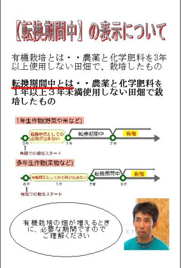 ネコポス可】訳あり有機ほしいも - 有機野菜とほしいも｜有限会社大塚