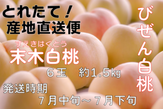 【予約商品】【数量限定】びぜん白桃　末木白桃約1.5kg　6玉〈出荷時期　2022年7月中旬から下旬〉