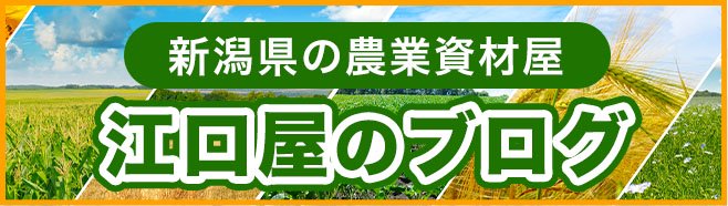 野菜ソムリエPro.・フードコーディネーター2級（食の商品開発）・施設園芸技術指導士がいる新潟県の農業資材屋・株式会社江口屋のブログ