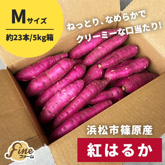 オンライン銀座 べにはるか M 25kg - 食品