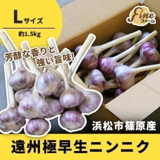 にんにく - Fineファーム オンラインストア