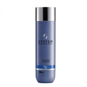 SYSTEMࡼ󥷥ס 250mL