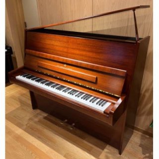 STEINWAY 󥦥 ťåץ饤ȥԥ V(455X)