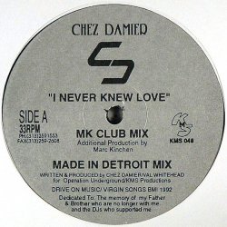 Chez Damier – I Never Knew Love