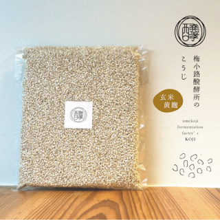 【限定】醗酵所のこうじ 減農薬 玄米麹 1kg