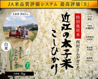《特別栽培米》おいしい日本のお米 『近江の太子米 こしひかり』 白米5kg