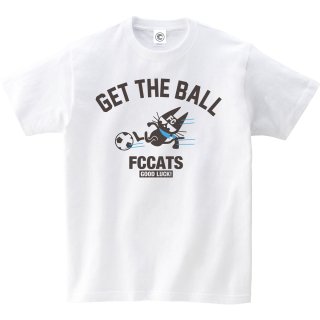 FC CATS<br>1mmδ<br>åȥT<br>ۥ磻Ȥξʲ
