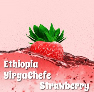 エチオピア｜モカ イルガチェフェ・ナチュラルＧ１｜コンガ｜ストロベリー｜生豆