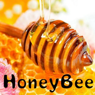 ˥饰 Honey Beeåƥꥹ ååɥϥˡáƦ