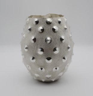 Sea Urchin Vase III ()ξʲ