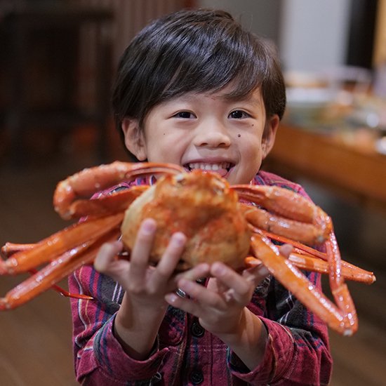 ギフト】『佐渡島産』浜茹で紅ズワイガニ (1杯500g /3杯) - カニ直売所弥吉丸