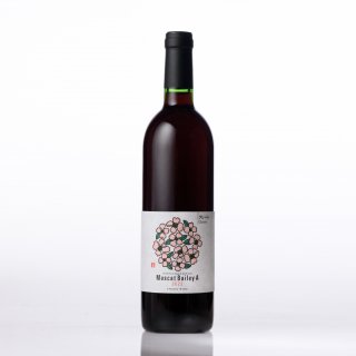 SPRING WINE ޥåȡ١꡼A 2022졼