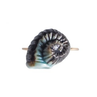 fossil ring