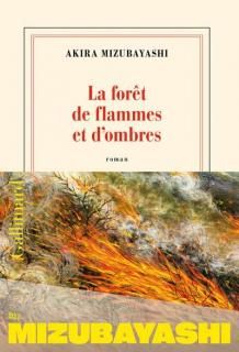 LA FORET DE FLAMMES ET D'OMBRES