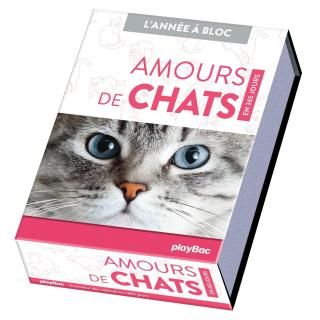 Calendrier Amours de chats en 365 jours