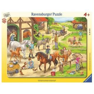 ��٥󥹥С������ѥ��롡�Ҿ�ΰ���(40�ԡ���)