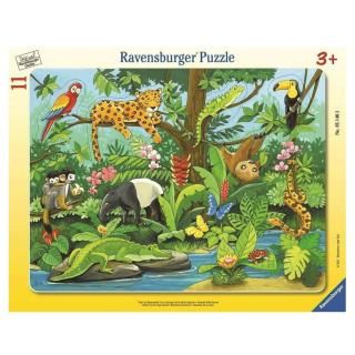 ��٥󥹥С������ѥ��롡����󥰥��ưʪ����(11�ԡ���)